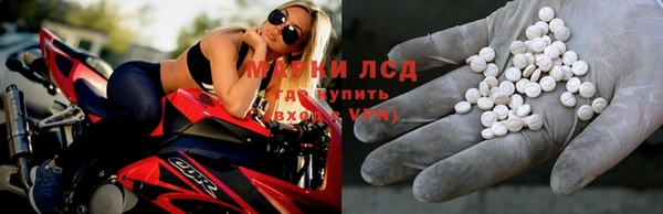 ALPHA PVP Новозыбков
