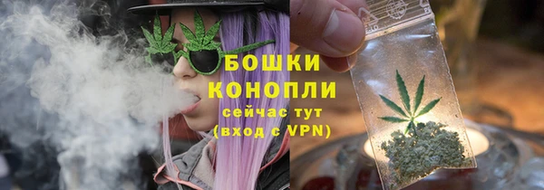 дмт Нея