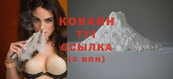 дмт Нея