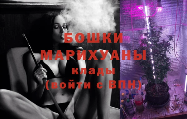 ALPHA PVP Новозыбков