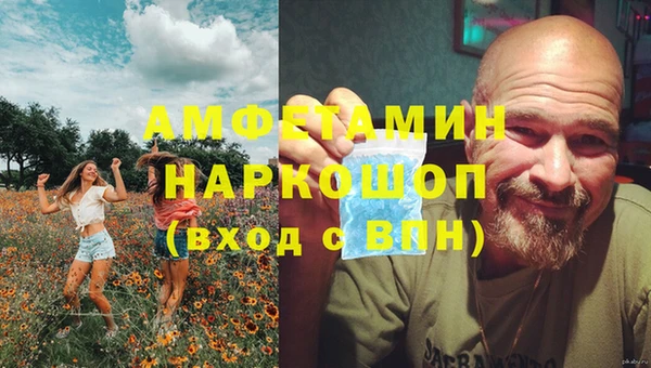 прущие грибы Пересвет