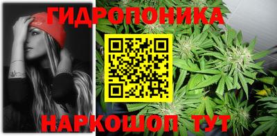 индика Абинск