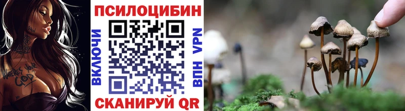 Галлюциногенные грибы мухоморы  ссылка на мегу маркетплейс  Прохладный 