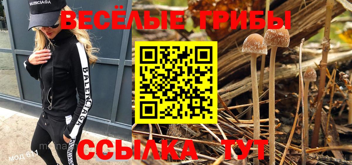 Прохладный  Галлюциногенные грибы Psilocybine cubensis  Вход с VPN 
