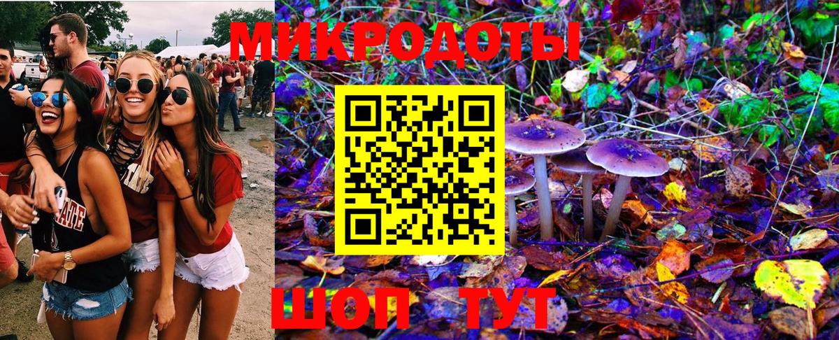 Псилоцибиновые грибы Psilocybine cubensis Прохладный