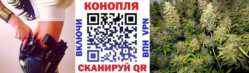 hydra   Прохладный  Каннабис план 